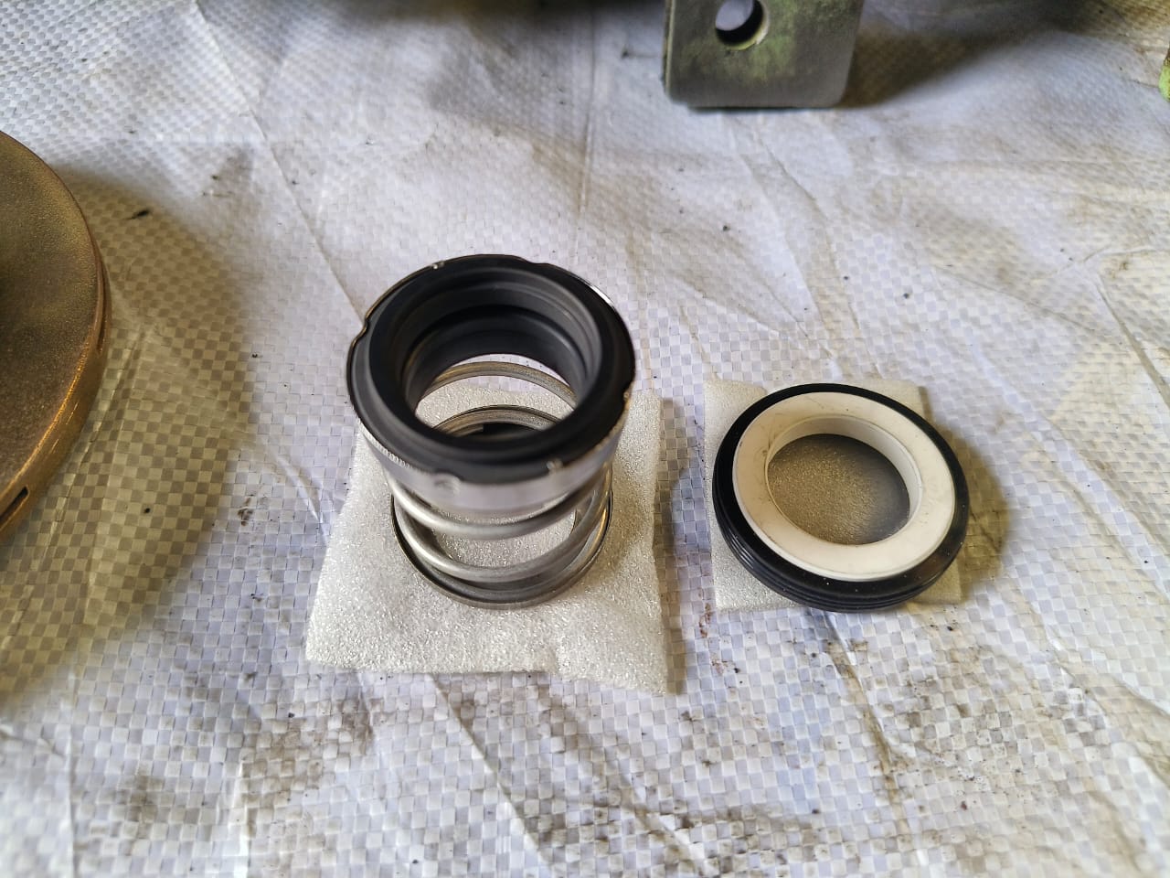 0.75kW 2-pole 60Hz induction motor - Image 3