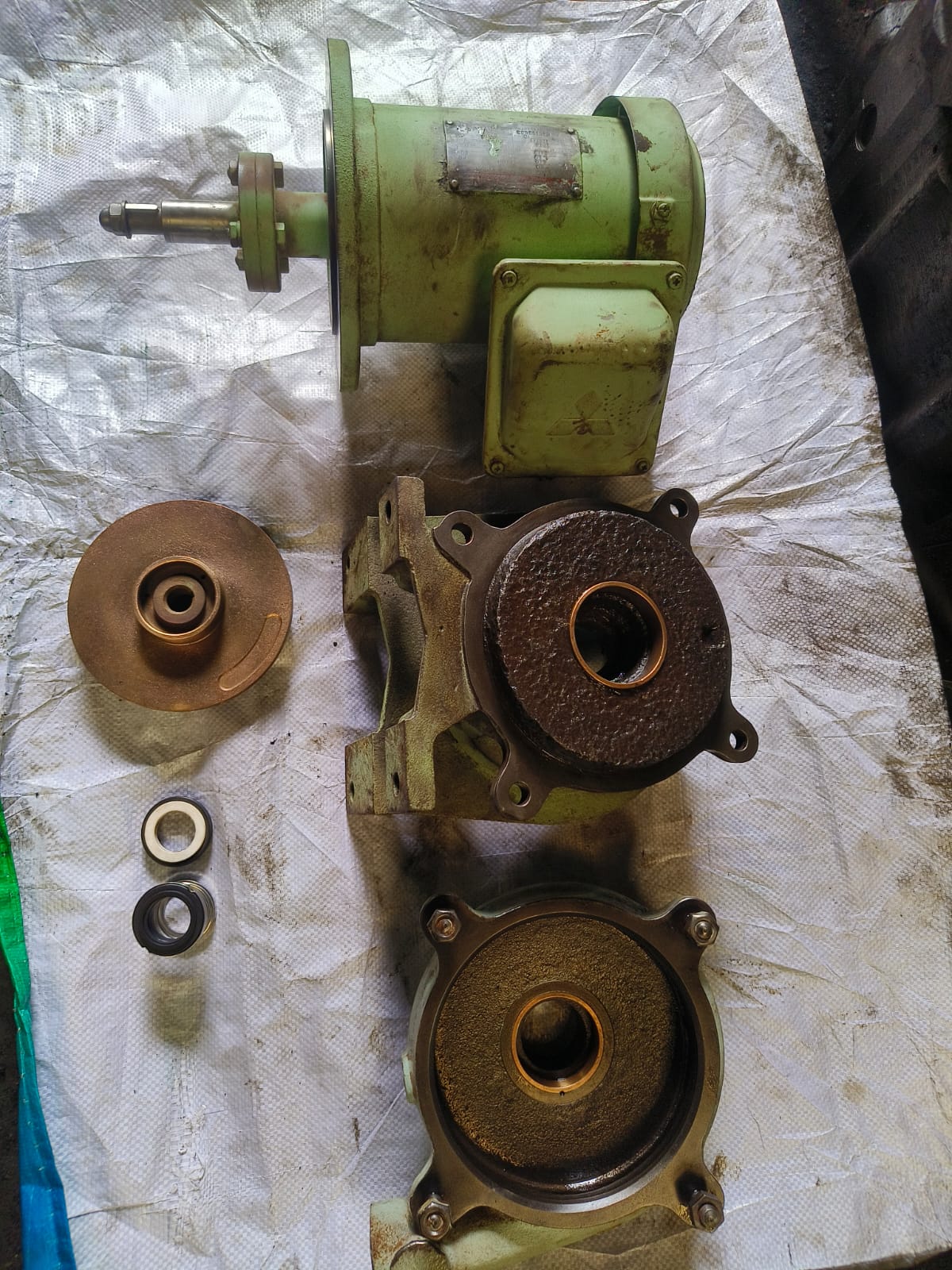 0.75kW 2-pole 440V electric motor - Image 3