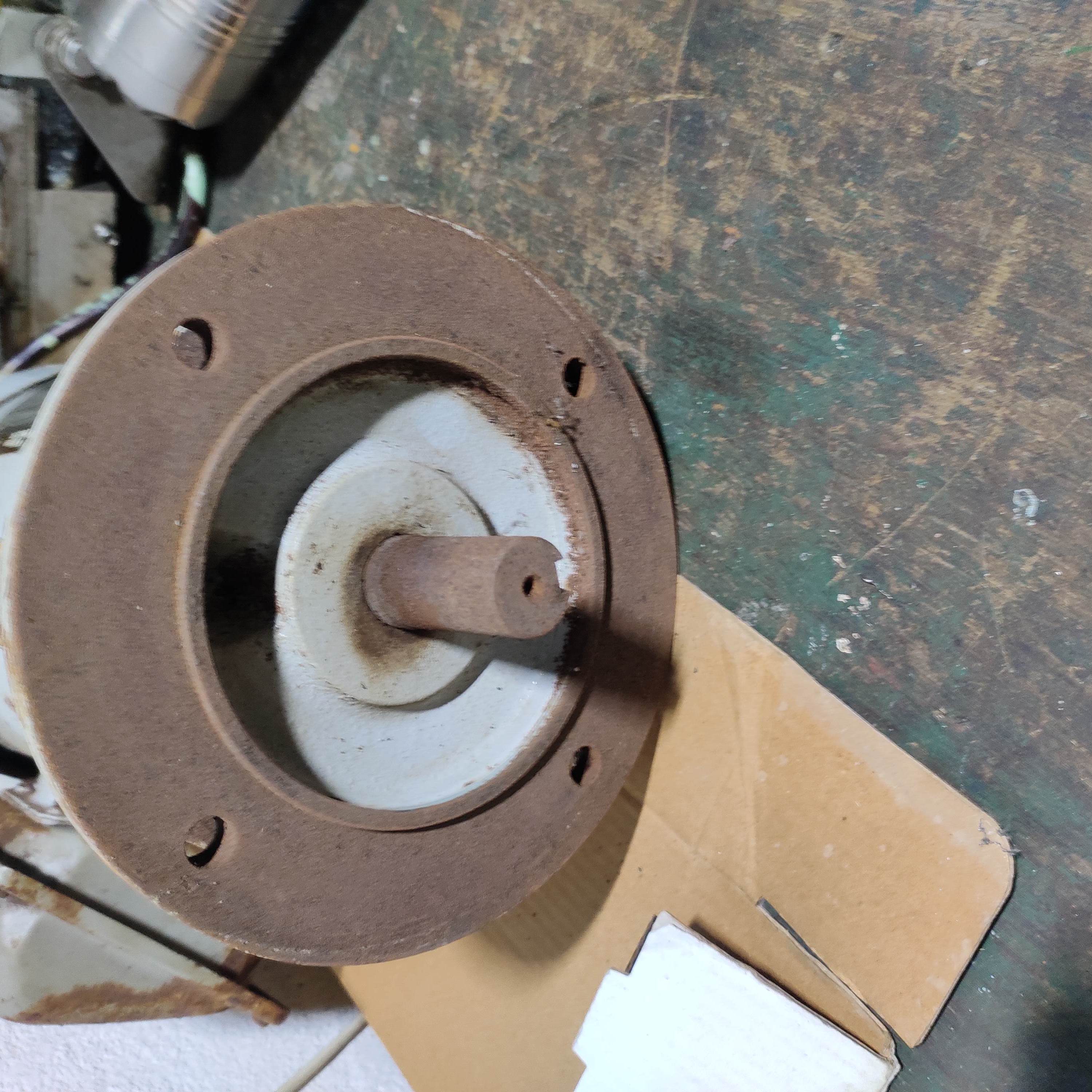 SF-PRV  Induction Motor - Image 2