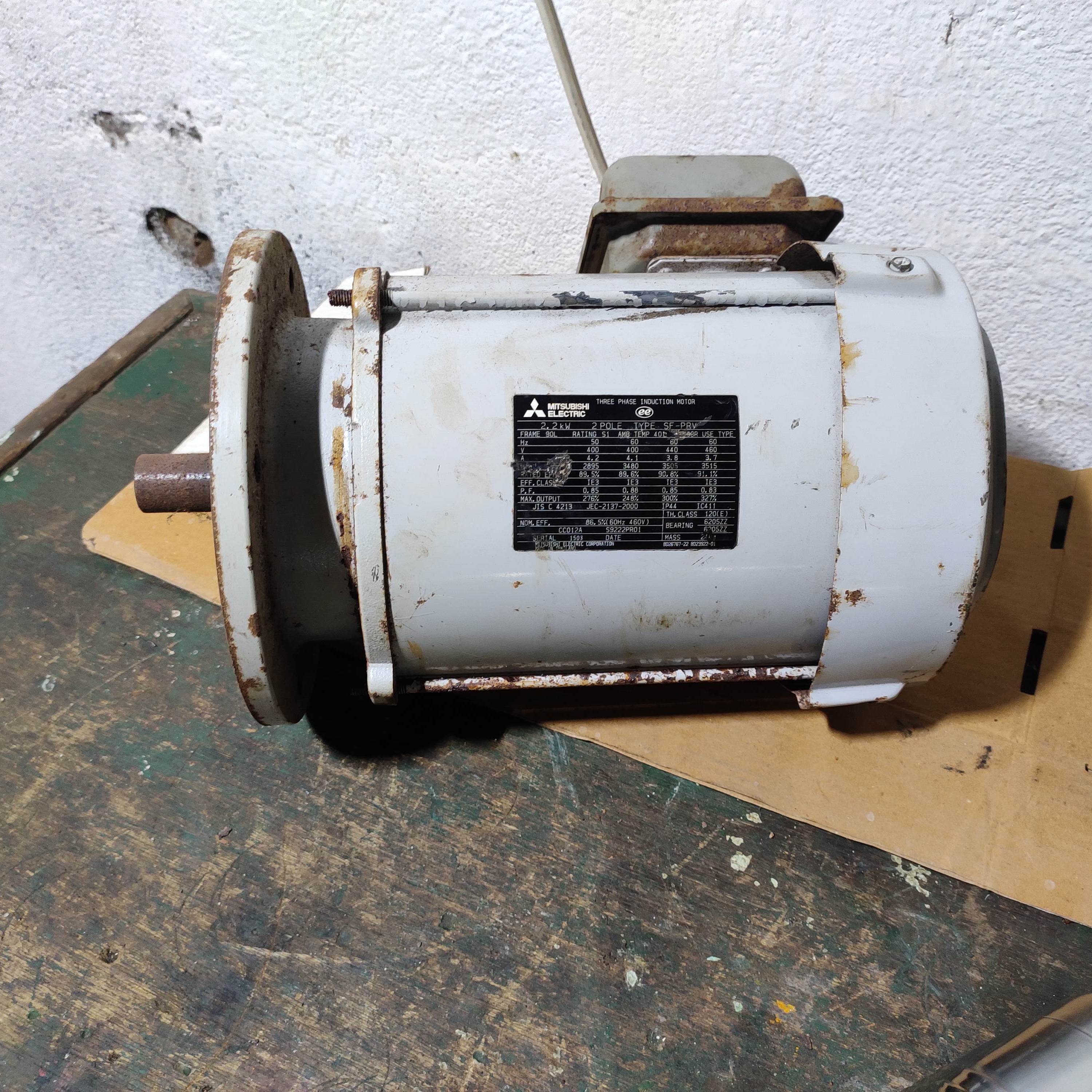 SF-PRV  Induction Motor - Image 3